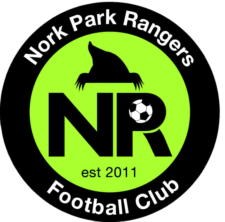 npr new cut out logo (1)